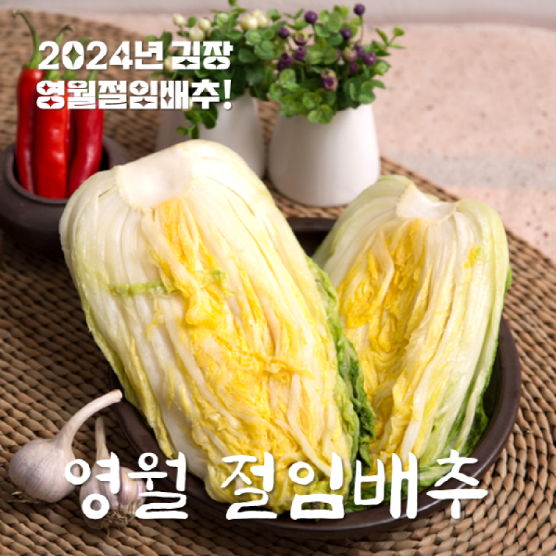 영월팜이야기,[산지직송]영월삼굿마을 고랭지절임배추20kg(8~11포기)