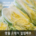 썸네일(스크롤)