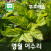 썸네일(스크롤)