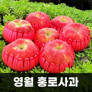 [왕과사는영월]추석사과 홍로5kg(가정용) 23~27과