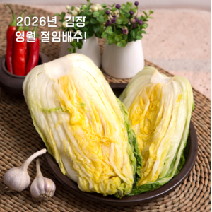 왕과 사는 영월 고랭지절임배추20kg(8~11포기)