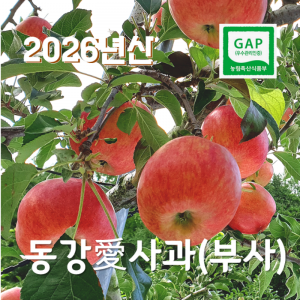 [왕과사는영월]사과 부사10kg 높은 당도에 아삭하고 과즙이 풍부한 사과GAP인증